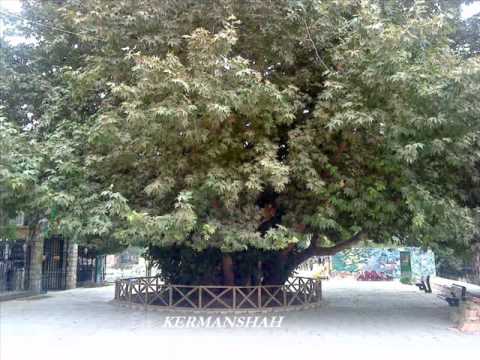 taherzadeh kordi kermanshah kermashan .kurdi کردی کرمانشاهی طاهرزاده
