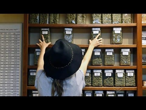 National Academies landmark report on cannabis benefits and harms