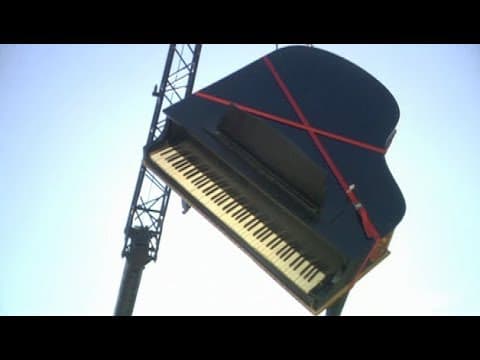 The Shins - Turn on Me