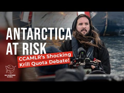 Antarctica at Risk: CCAMLR’s Shocking Krill Quota Debate!