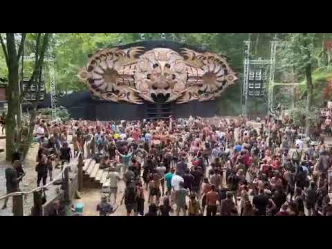 Dust live act filmed from the floor