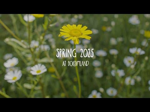Spring 2025 at Boomland