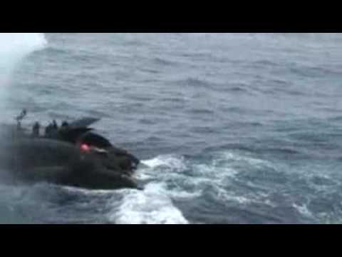 Japan releases whaling crash video