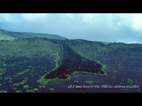 The 1986 Izu Ōshima eruption