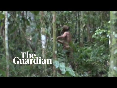 The forest guardians