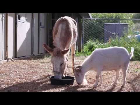 Mr. G and Jellybean