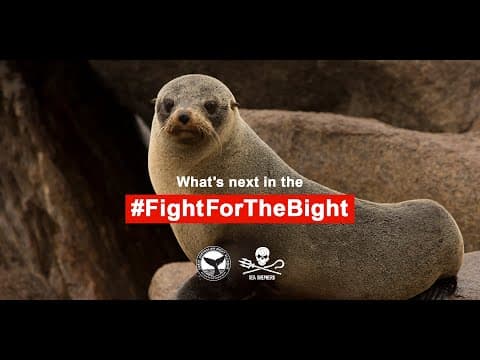 What's next in the #FightfortheBight