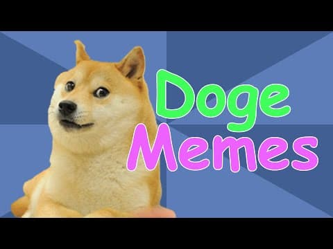 The Story of Doge: How Kabosu Became the Doge Meme
