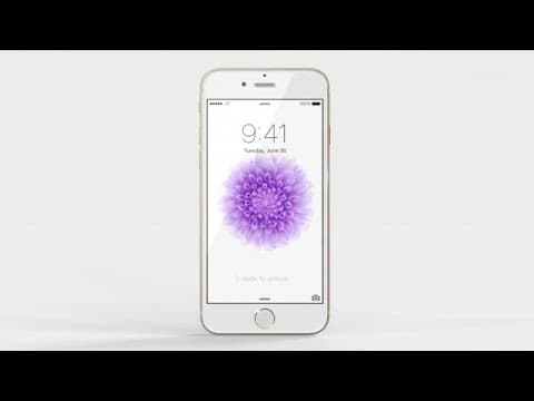 The iCloud password reset behind the Apple standoff