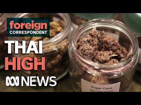 Foreign Correspondent: is Thailand the new weed capital?