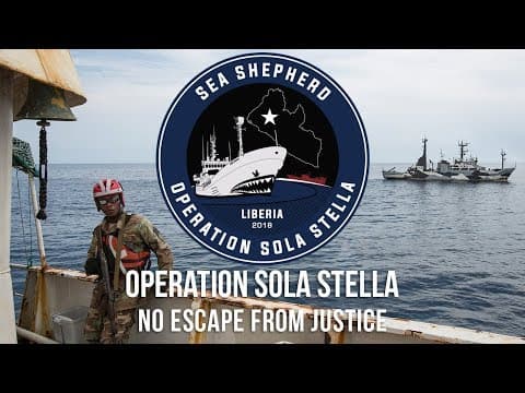 No Escape From Justice: Two More Arrests for Operation Sola Stella