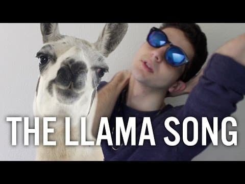 51 · THE LLAMA SONG