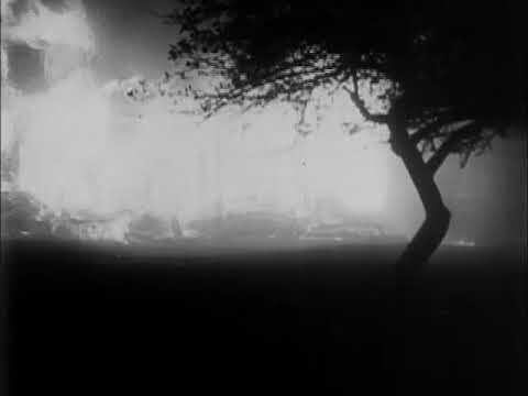 The 1947 Maine fires