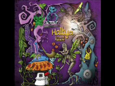 Haltya - Rainbow Funkster