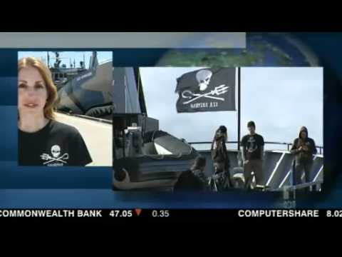 Anti-whaling campaigners marshal their forces