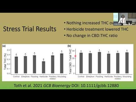 Genetic control of qualitative traits in hemp