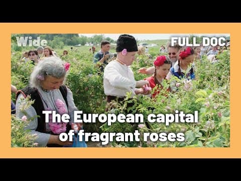 The art of perfumery: Bulgaria's Rose Valley | WIDE