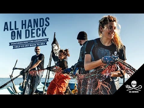 Send Sea Shepherd Back to the Frontlines