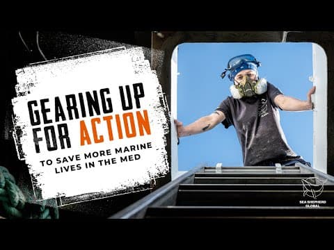 Gearing Up for Action to Save More Marine Lives in the Med Sea