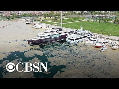 The Marmara 'sea snot'