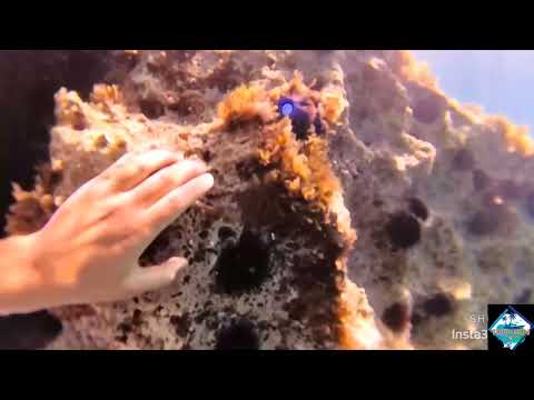 Karaburun-Sazan, Albania's only marine park