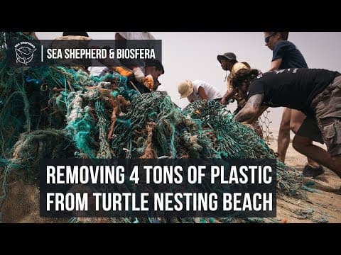 Removing 4 Tons of Plastic from Turtle Nesting Beach