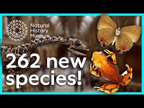 The 262 New Species Named in 2025