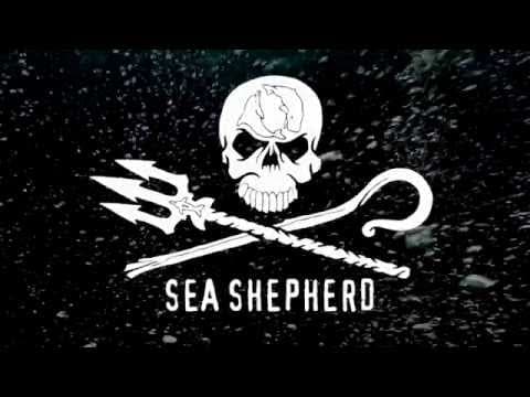 Operation Jeedara: Great Australian Bight Alliance Announcement