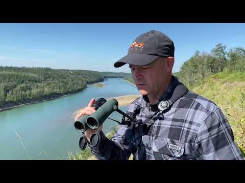 SWAROVSKI OPTIK 12x42 NL Pure review