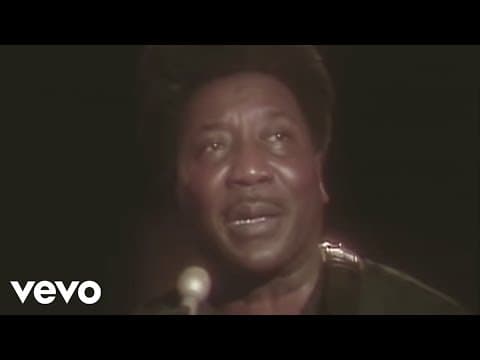 Muddy Waters — Hoochie Coochie Man
