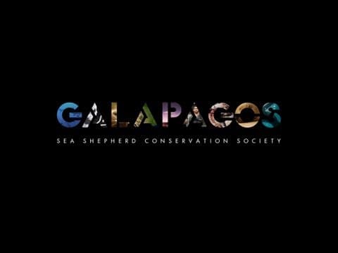Sea Shepherd Galapagos documentary trailer