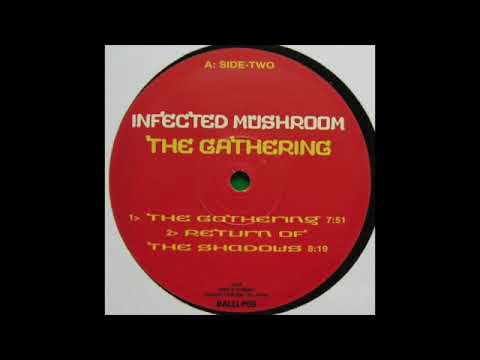 Infected Mushroom - The Gathering