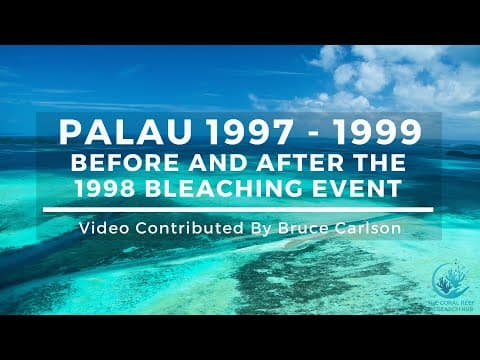 The 1998 global bleaching event