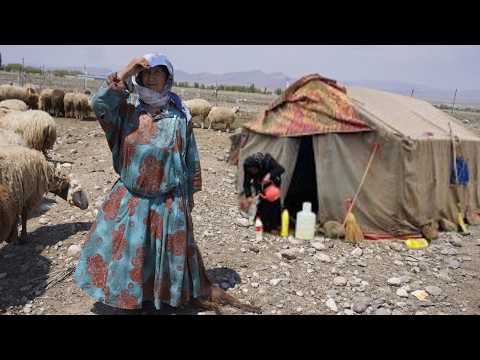 A Half Day with the Shahsavan Nomads of Iran | Nomadic Old Woman