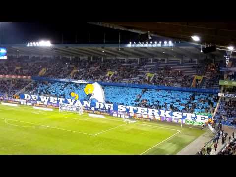 Fantastische tifo tijdens Genk - STVV
