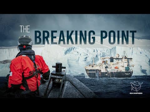 Fighting the Krill Collapse