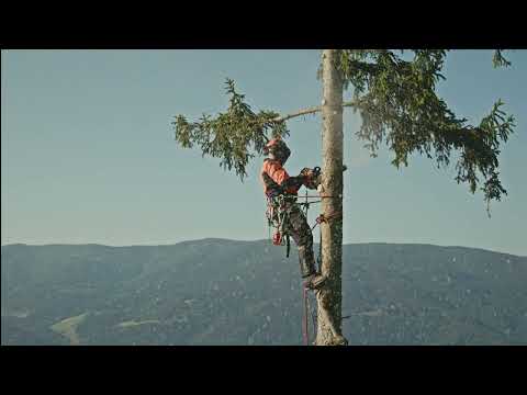 100 Years of STIHL - Here's to 100 More