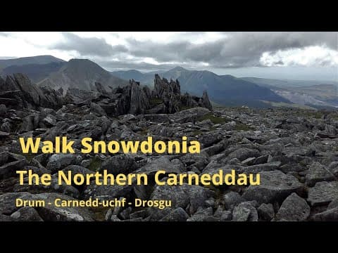 Wild Ponies Walking the Northern Carneddau PLEASE TURN ON SUBTITLES