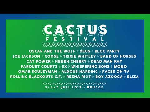 Cactusfestival 2019 — Teaser
