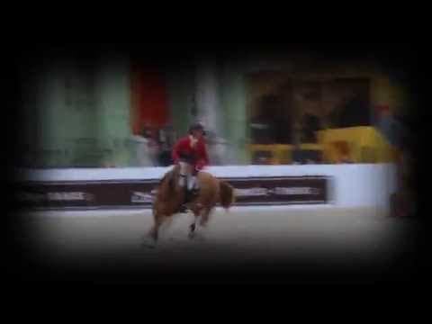 Perfect I Saut hermès 2014