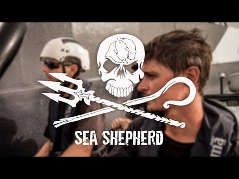 Sea Shepherd's Part-Time Heroes