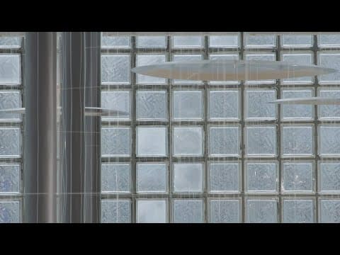 EXHIBITIONS | Susanna Fritscher, "Interference" at Le Forum, Tokyo