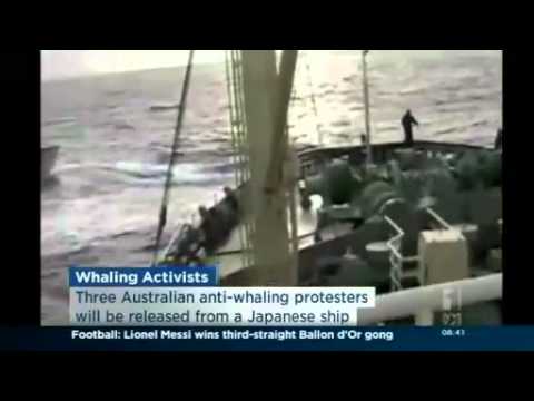 Forest Rescue to continue to fight whaling by Japan
