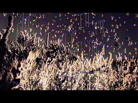 Oneohtrix Point Never — Measuring Ruins