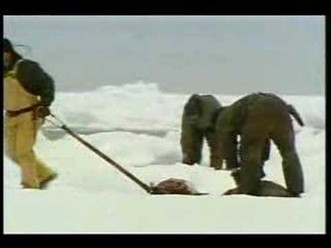 Shepherds of the Seals, narrated by Martin Sheen