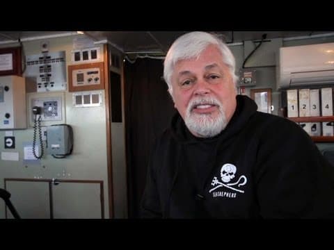 Operation Divine Wind - Thank you from Paul Watson
