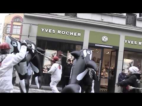 Sea Shepherd Belgium Performs Flash Mob