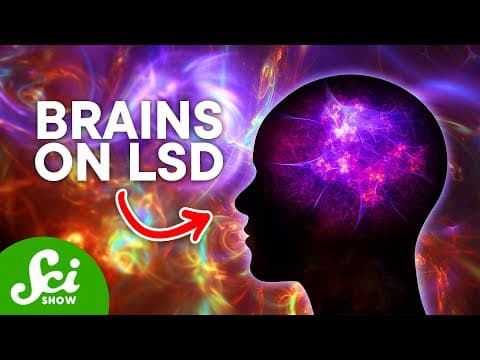 What Happens to Your Brain on LSD? | SciShow