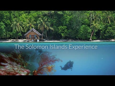 The Solomon Islands Experience - Diving On Beautiful Coral Reefs - Meeting Amazing People