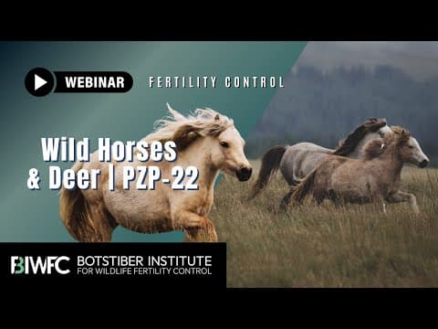 PZP-22: Multi-Year Reversible Contraception for Wild Horses and Deer